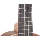 Stagg UC-30