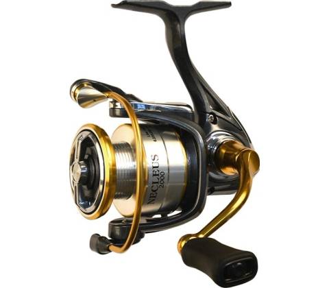 Ryobi NECLEUS 4000