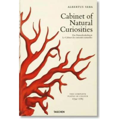 Seba. Cabinet of Natural Curiosities | Irmgard Musch