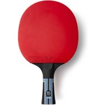 Butterfly Timo boll progress