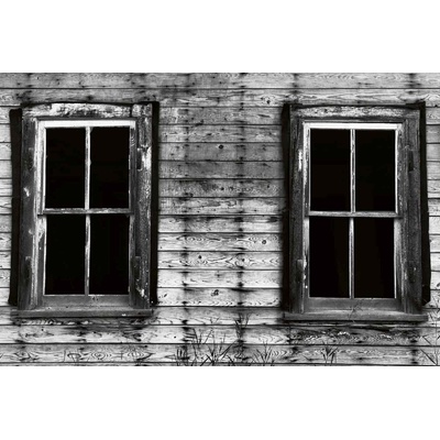 DIMEX ART Флизелинов фототапет счупени прозорци 375 x 250 см