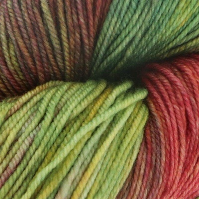 Malabrigo Ponožky Diana 886 vícebarevné