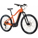 Leader Fox Oxnar 2023