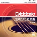 D'ADDARIO EJ24