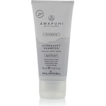 Paul Mitchell Awapuhi Wild Ginger Hydrate Hydrasoft Shampoo 75 ml