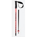 Völkl Speedstick 2017/18