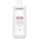 Goldwell Dualsenses Color Brilliance Fade Stop Shampoo 1000 ml
