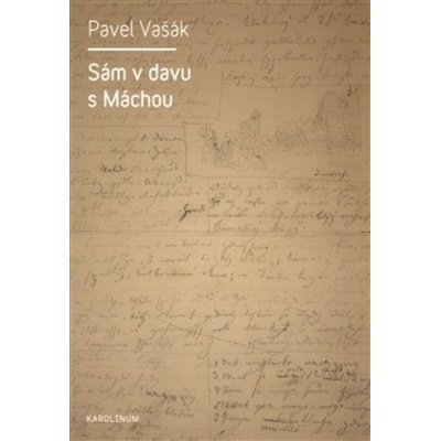 Sám v davu s Máchou - Pavel Vašák