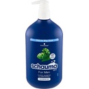 Schauma Men Classic šampón 750 ml