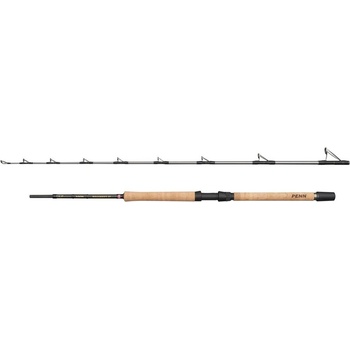 Penn Regiment IV Pre Boat 2,10 m 20-30 lb 2 Diely