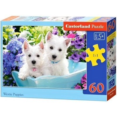 Castorland štěňátka Westie 066100 60 dílků