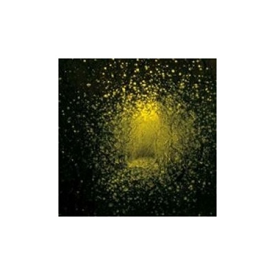 Antlers - Burst Appart CD
