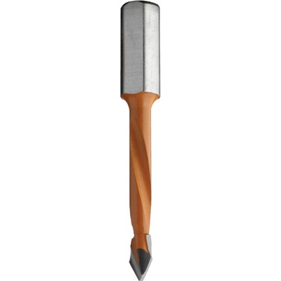 IGM C36705011