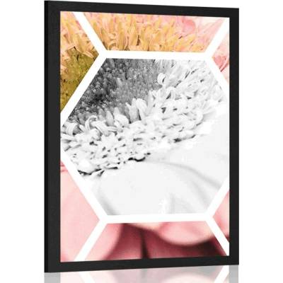 Plakát gerbera v šestiúhelníku - 20x30 black