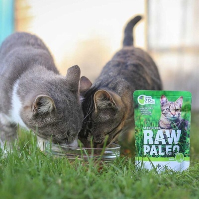 Raw Paleo Sterilised Cat Game 100 g