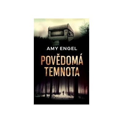 Povědomá temnota - Amy Engel