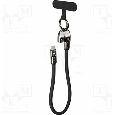 Lanberg CA-CMCM-10LN-0003-BK USB 2.0 USB C vidlice z obou stran 0,3m černý