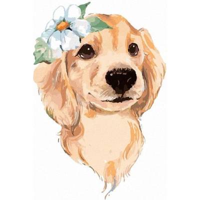 zuty Malování Podle Čísel Roztomilý Pes A Bílá Květina 80 x 100 Cm Plátno