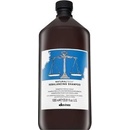 Davines NATURALTECH Rebalancing šampon pro pokožku s nadměrnou tvorbou mazu 1000 ml