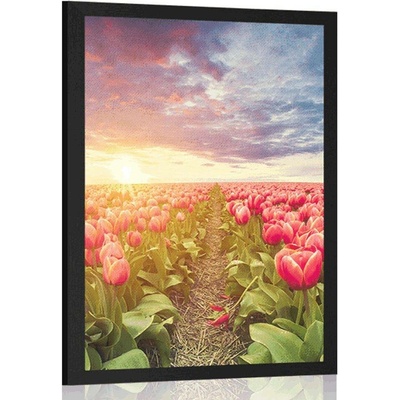 Plakát východ slunce nad loukou s tulipány - 20x30 silver