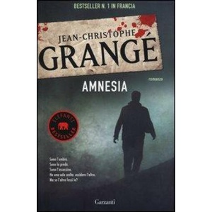 Amnesia | Jean-Christophe Grangé, D. Comerlati (2013)