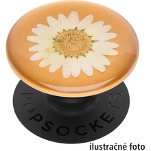 PopSockets PopGrip Gen.2 Pressed Flower White Daisy