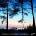 Various - Gunta Cese Visione! CD