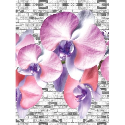 Preinterier Fototapeta panel - PL0214 - Bielo ružové kvety vlies - 206cm x 275cm