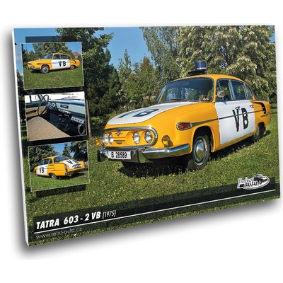 Obraz č. 47 - TATRA 603 - 2 VB (1975) 100 x 70 cm