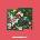 NCT DREAM: Candy CD