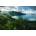 Ravensburger - Puzzle Hawaiian Viewpoint - 5 000 piese