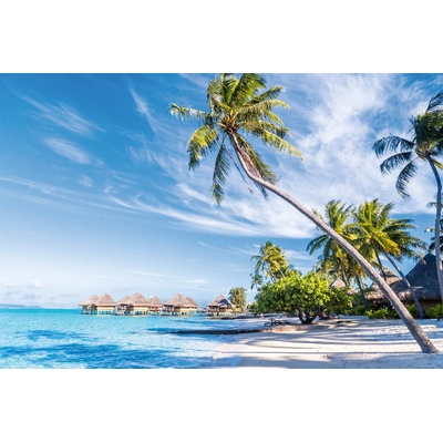 DIMEX ART Флизелинов фототапет палма на бора бора 375 x 250 см