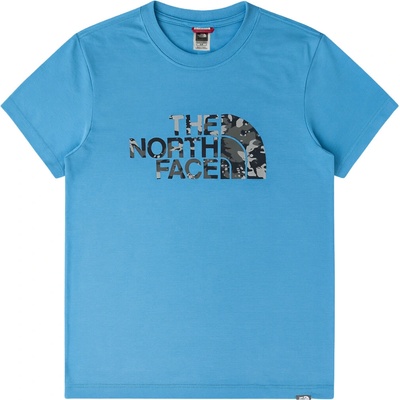 The north face Logo Blue