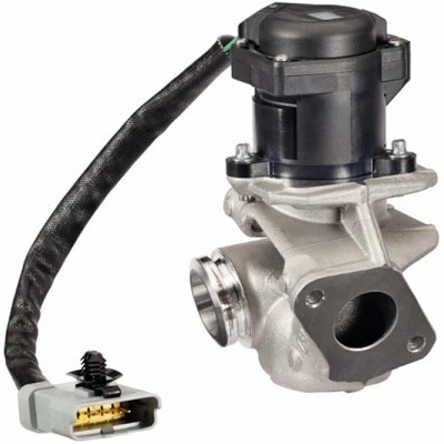 HELLA AGR-Ventil 6NU 010 171-131