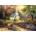 Grafika Art Puzzle - Puzzle Strength Along the Journey IV - 500 piese