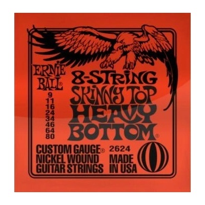 Ernie Ball P02624