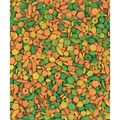 Versele-Laga NutriBird P15 Tropical 1 kg