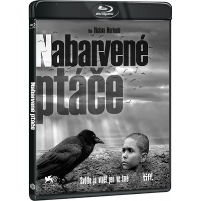 Nabarvené ptáče BD