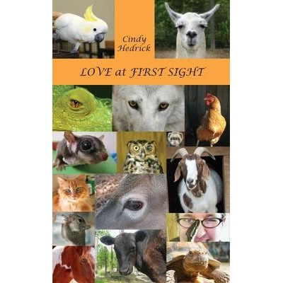 Love at First Sight | Cindy Hedrick