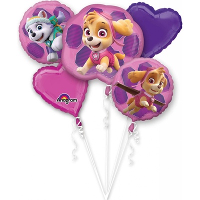 BALÓNKOVÝ BUKET Tlapková patrola