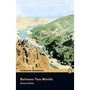 Between Two Worlds - Rabley Stephen