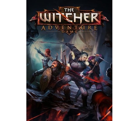 The Witcher Adventure Game