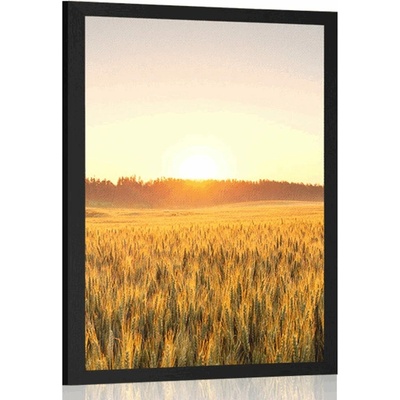 Plakát západ slunce nad polem - 30x45 silver