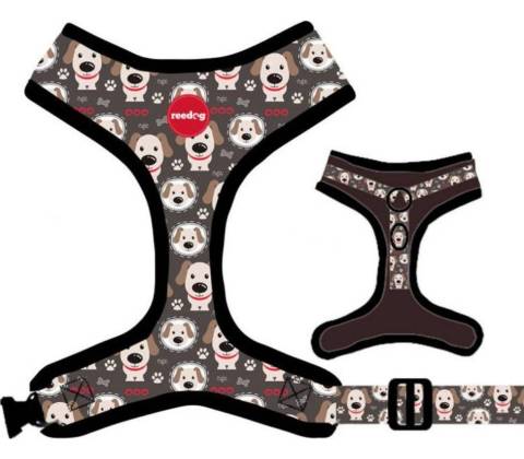 Reedog postroj PUPPY