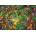 Educa - Puzzle Colourful Forest - 500 piese