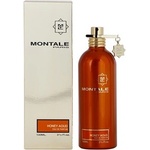 Montale Honey Aoud parfémovaná voda unisex 100 ml