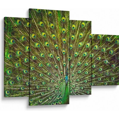 Obraz - Páv (s hodinami), štvordielne 110x75 cm s hodinami