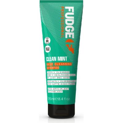 Clean Mint Deep hloubkově čisticí šampon na vlasy 250 ml