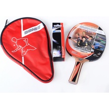 Donic Schildkrot Top Team 600