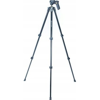 Vanguard 203AGH